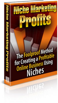 Product picture Niche Marketing Profits PLR - Create Big Profits Online